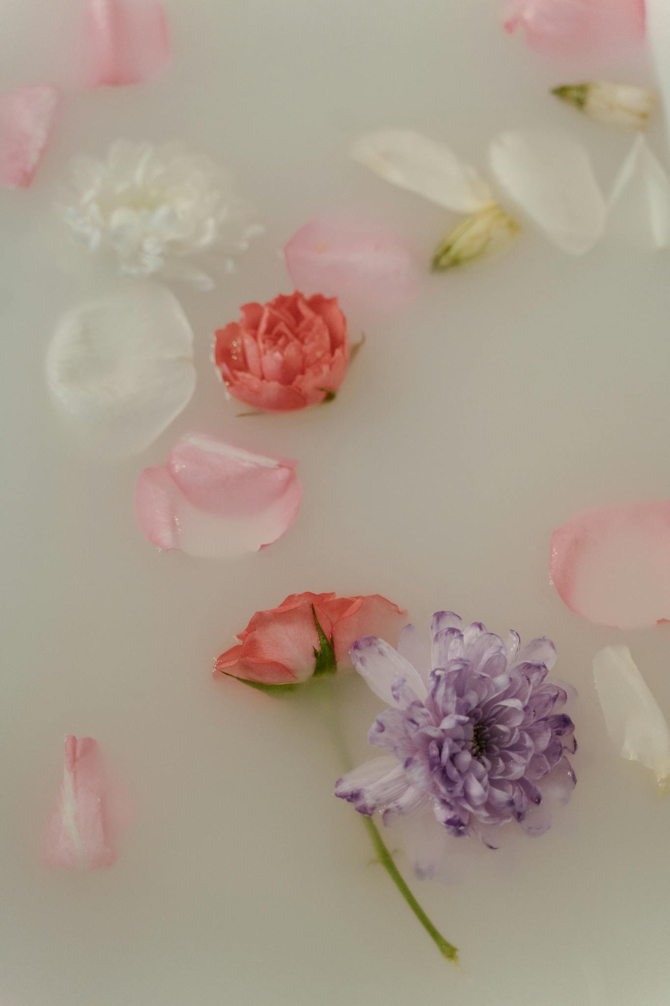 Beautiful colorful flowers and petals gently floating on water in a serene bathtub setting.